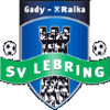 Gady Raika Lebring