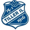Tiller IL