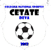 CSM Deva