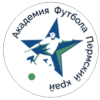 Academy Perm