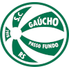 Gaucho Passo Fundo