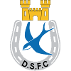 Dungannon Swifts