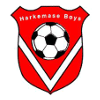 Harkemase Boys