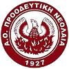 Proodeftiki
