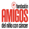 Fundacion Amigos